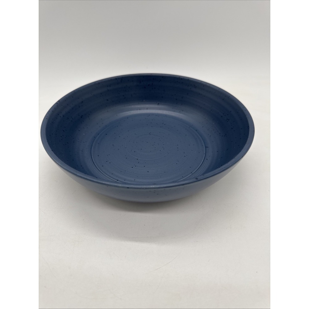Bee And Willow Milbrook 10" Round Serving Bowl Speckled Blue Stoneware New
